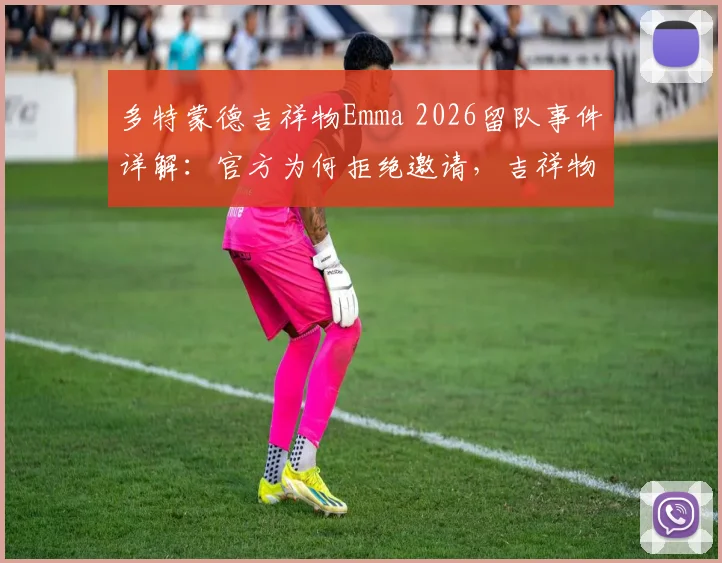 多特蒙德吉祥物Emma 2026留队事件详解:官方为何拒绝邀请,吉祥物“转会”到底现不现实