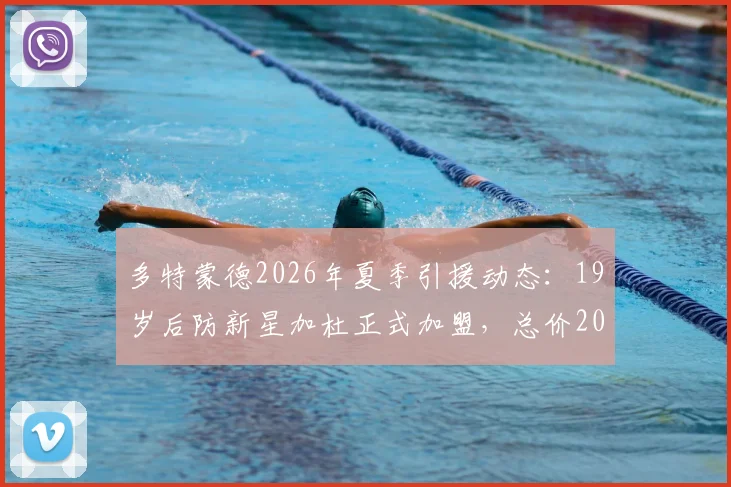 多特蒙德2026年夏季引援动态:19岁后防新星加杜正式加盟,总价2000万欧元转会费详解与球员技术特点分析